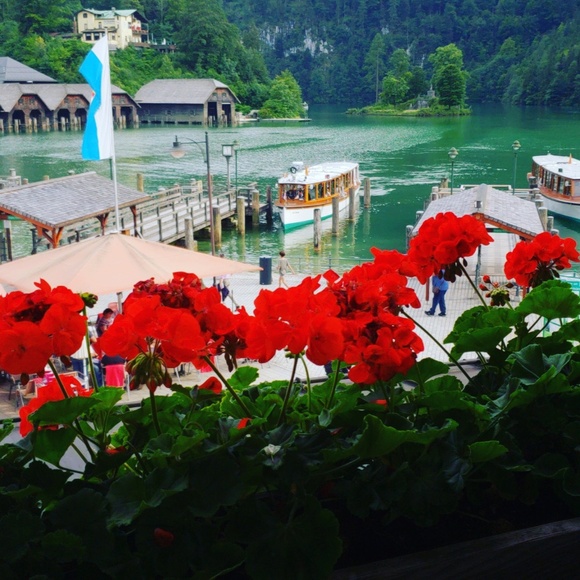 Meet your Posher, Megan 💕 - Picture 5 of 5